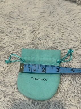 Tiffany & Co. Light Blue Suede Drawstring Pouch with Teal Cord
